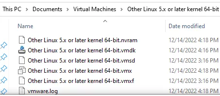 Virtual machine files on the disk
